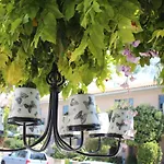 Ivoton Home